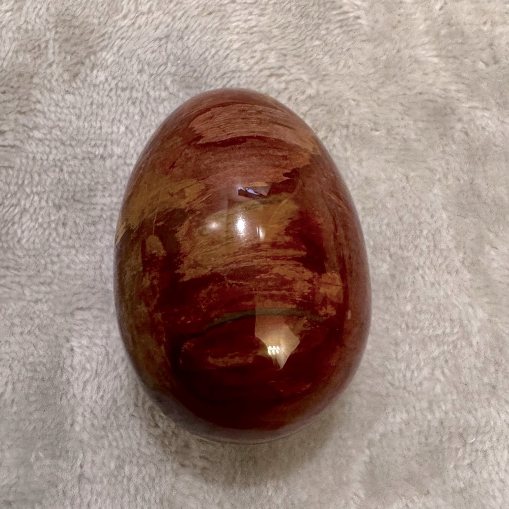 Petrified Wood Egg